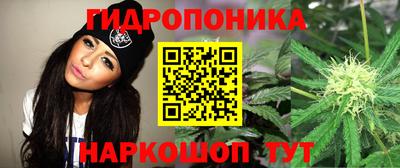 гидра Коммунар